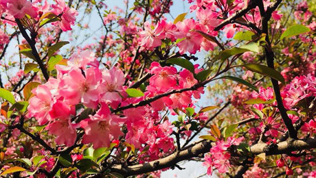 無懼時(shí)光--3·8女神節(jié)